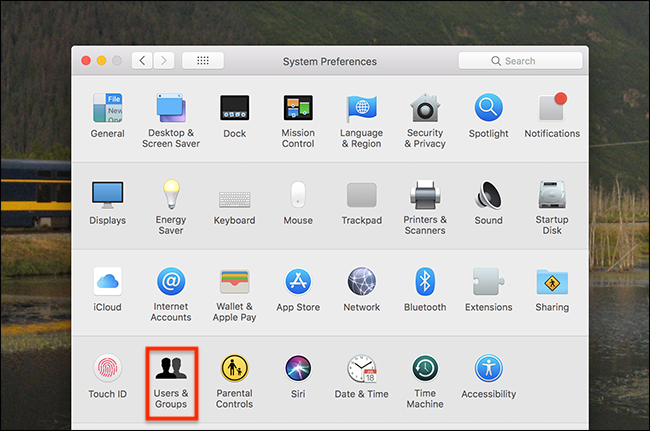 Панель Системные настройки — Пользователи и группы