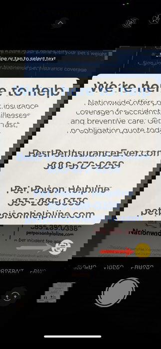 Значок Live Text активирован