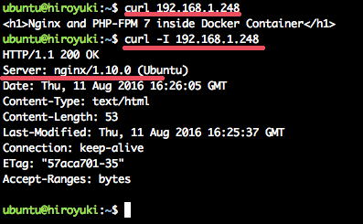 Проверка доступа к Nginx внутри контейнера: вывод curl