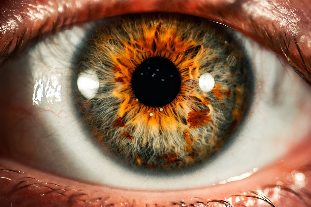 Macro photo of a human eye.