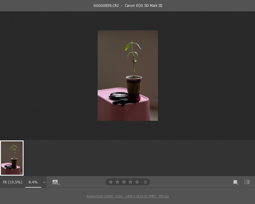 Просмотр ленты Adobe Camera Raw