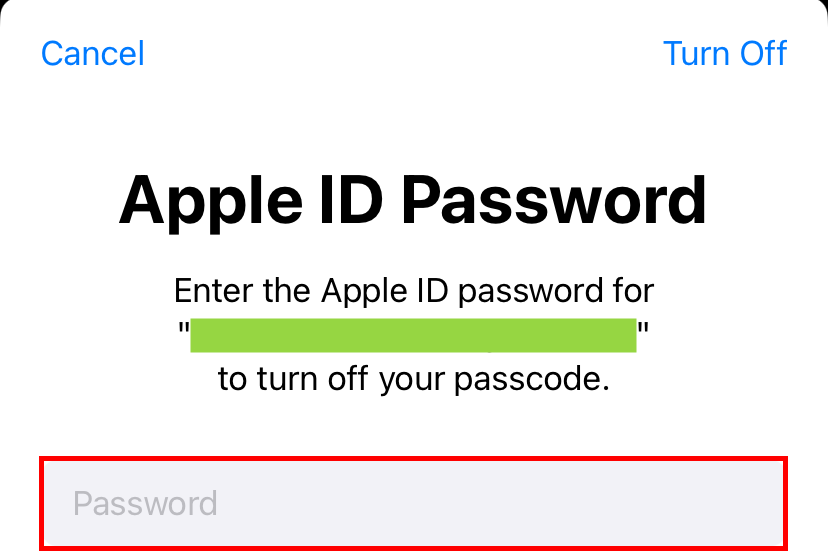 Запрос пароля Apple ID для подтверждения отключения.