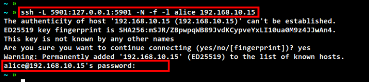 SSH-туннель и подключение через VNC Viewer