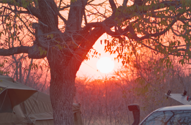 Деталь солнца стала видимой