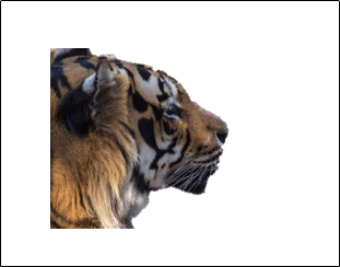 Готовое изображение без фона