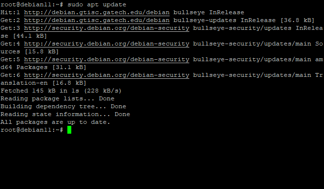 Пример вывода обновления пакетов на Ubuntu/Debian