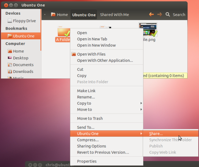 Окно выбора адресов для совместного доступа в Ubuntu One