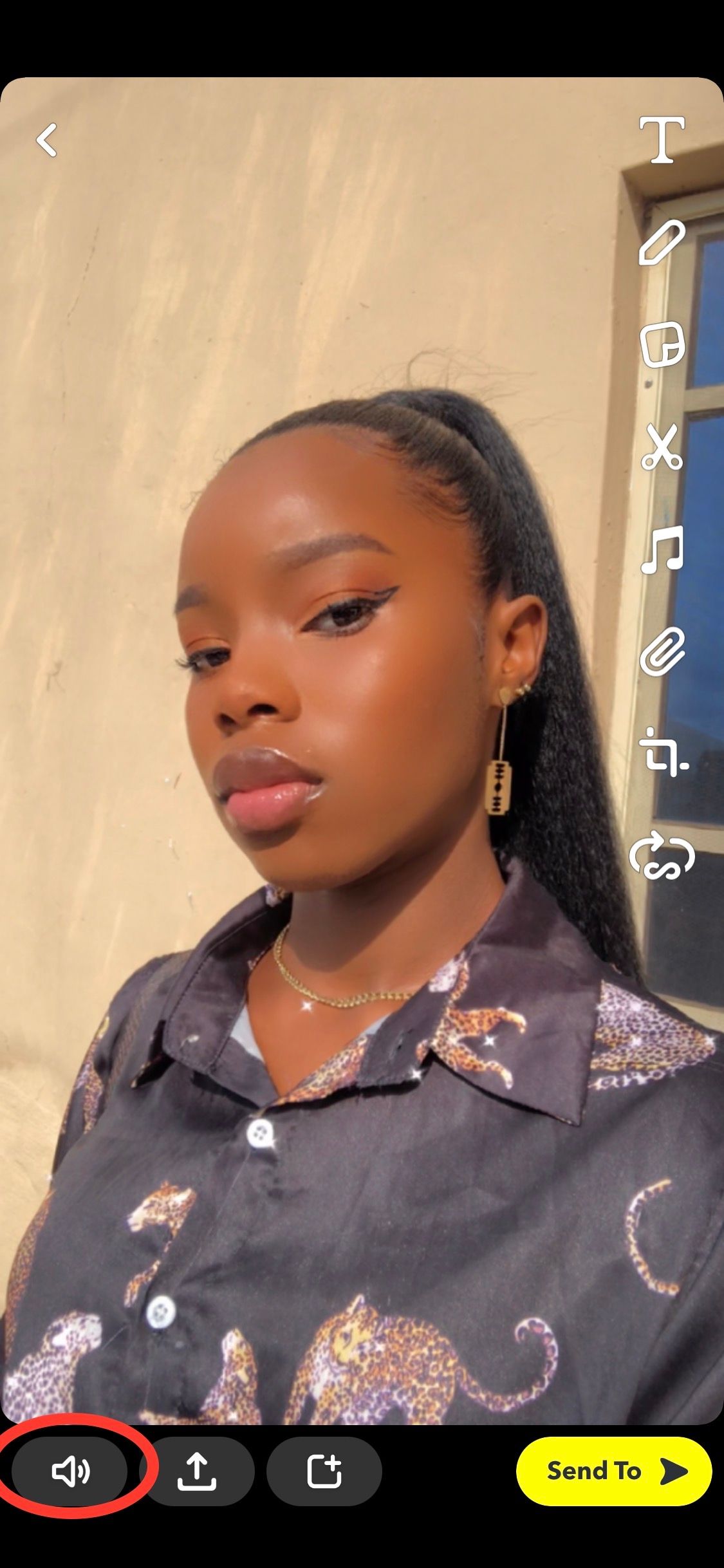 Наложение пользовательского звука на Snap