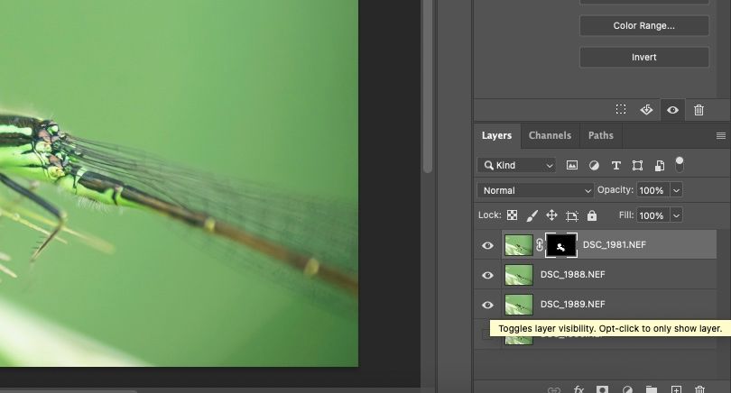 Make-Layer-Visible