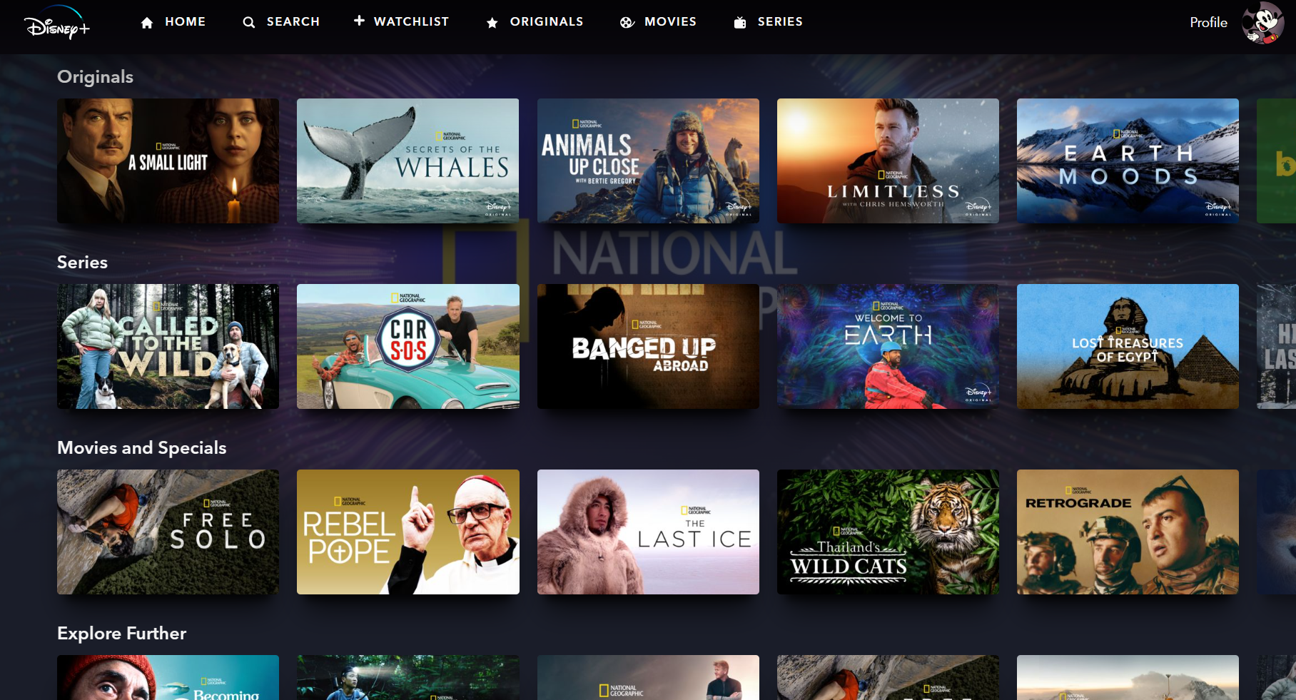 Скриншот категорий контента NatGeo в приложении Disney+ на десктопе