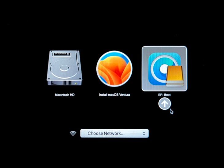 Выберите опцию EFI Boot с логотипом OpenCore для начала установки