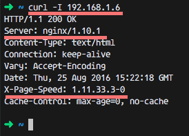 Ответ сервера Nginx после установки PageSpeed (curl -I)