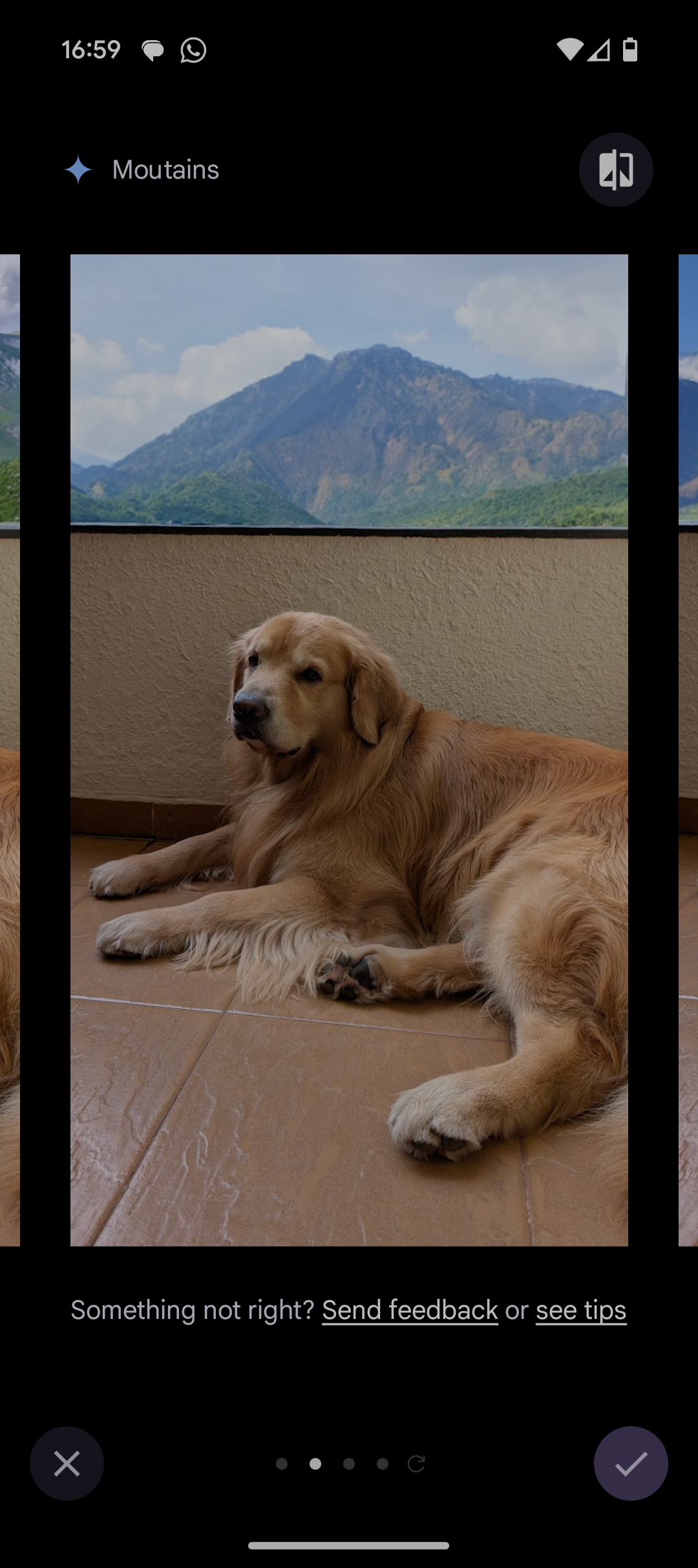 Pixel 9 показывает изображение собаки на балконе с горами на заднем плане