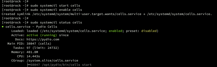 Статус systemd для Pydio Cells