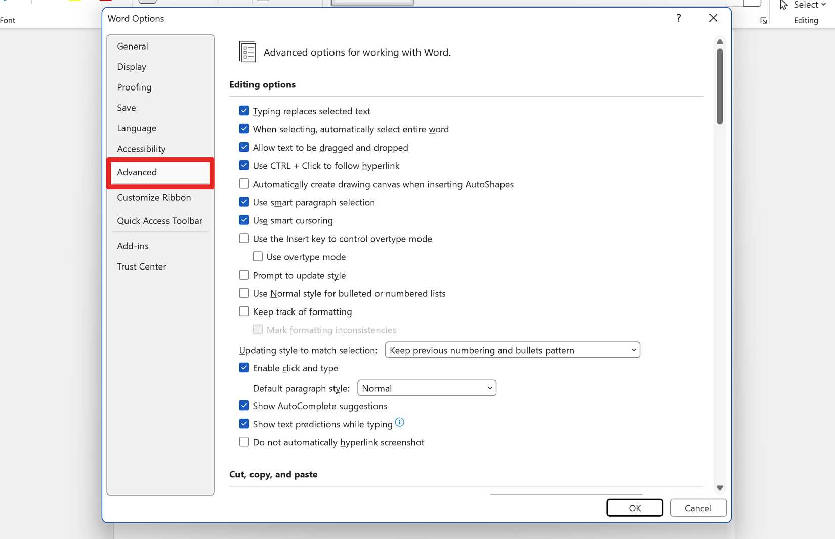 Microsoft Word Advanced Options.