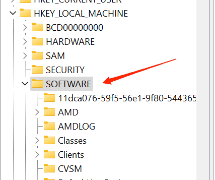 Редактор реестра — раздел SOFTWARE