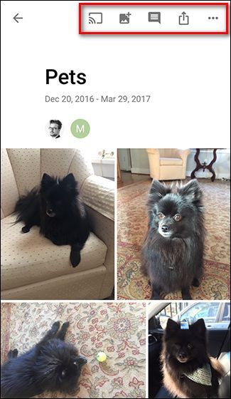 Меню альбома с пунктами управления и параметрами