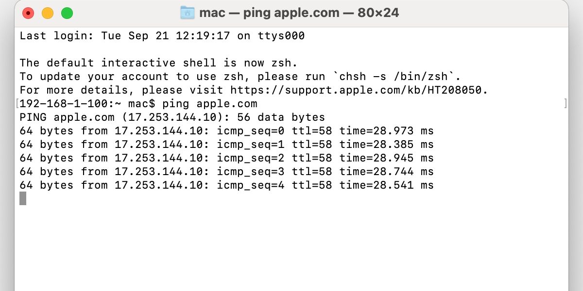 Окно Terminal с командой ping запущенной.