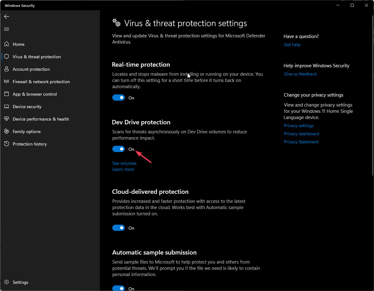 Переключатель Dev Drive Protection в Защитнике Windows