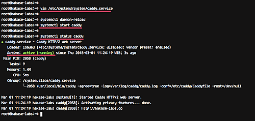 Caddy запущен как systemd сервис