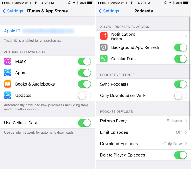 Настройки раздела iTunes и App Store с опцией использования сотовых данных
