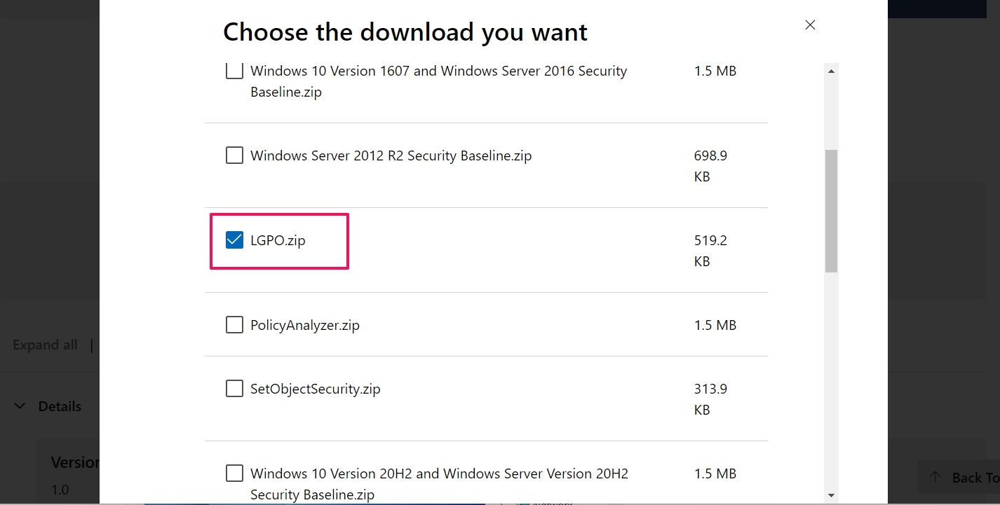 Интерфейс загрузки LGPO на сайте Microsoft