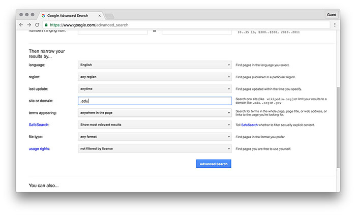 Поле домена в расширенном поиске, где указан фильтр .edu