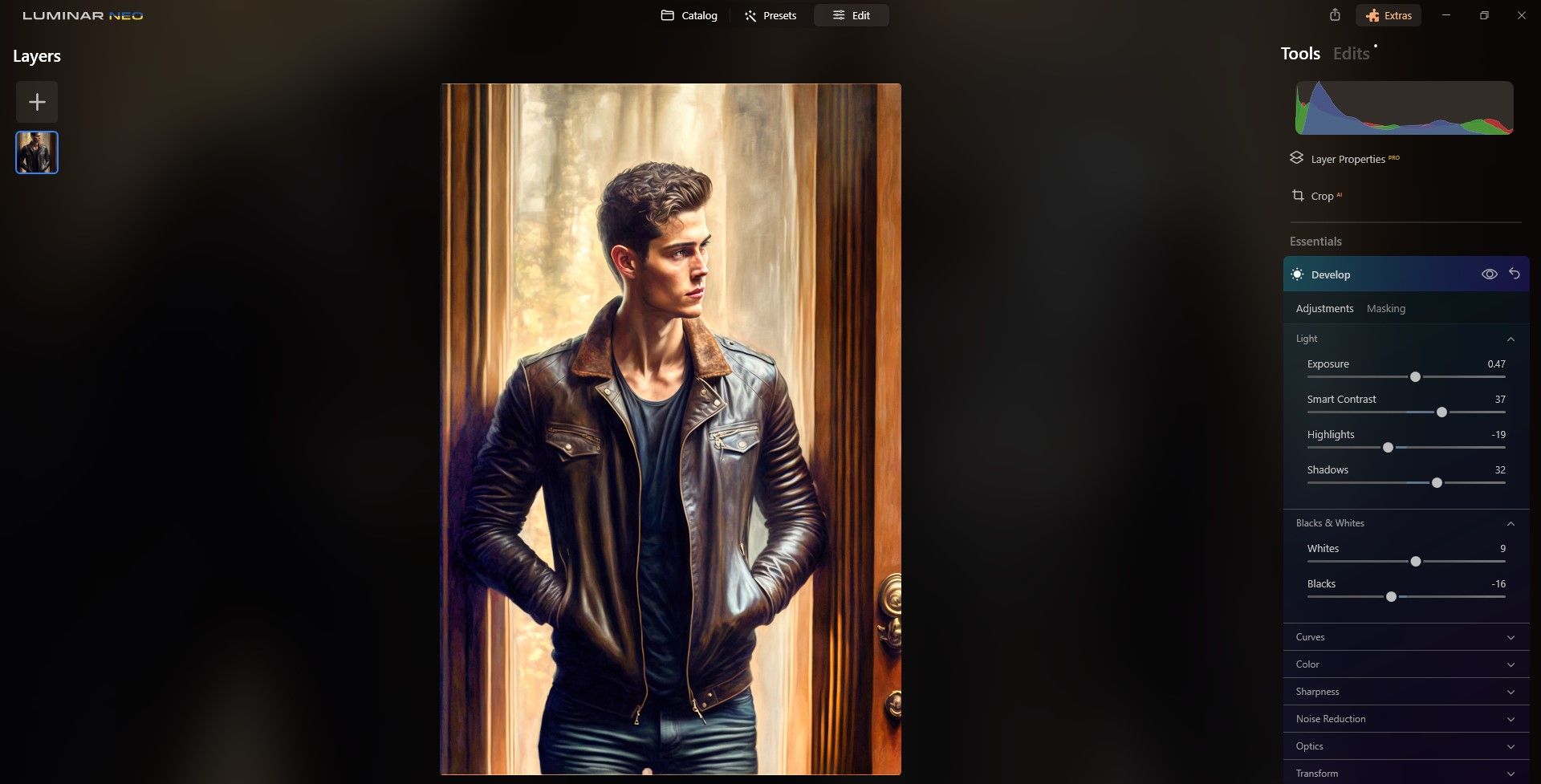 Модуль Develop с регуляторами Light и Black and Whites