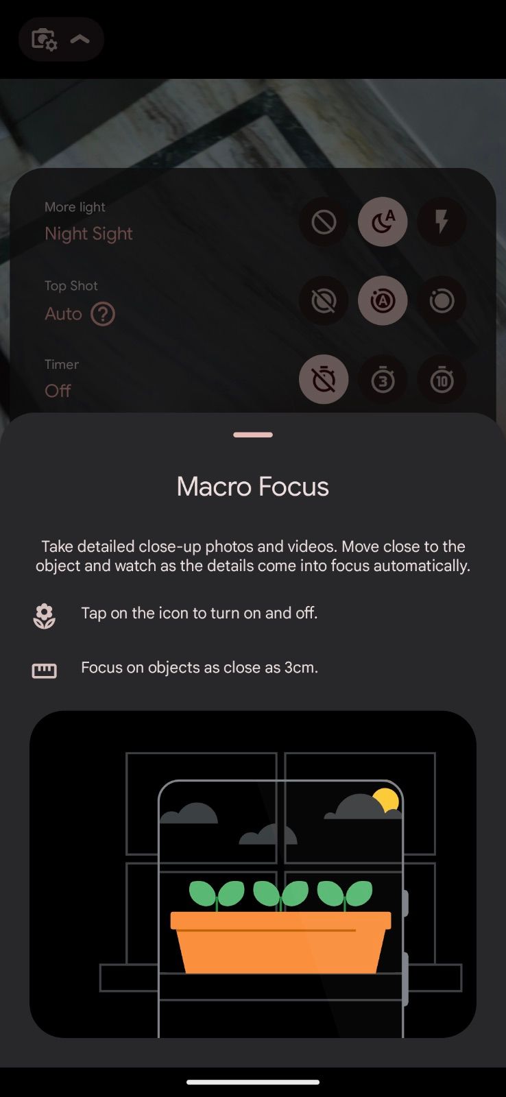 Google Pixel 7 Pro Macro Focus