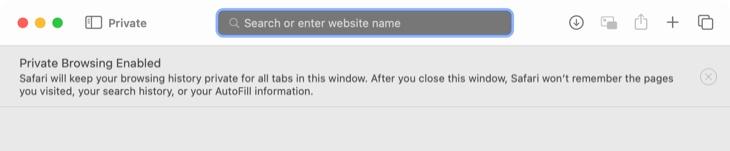Режим приватного просмотра в Safari
