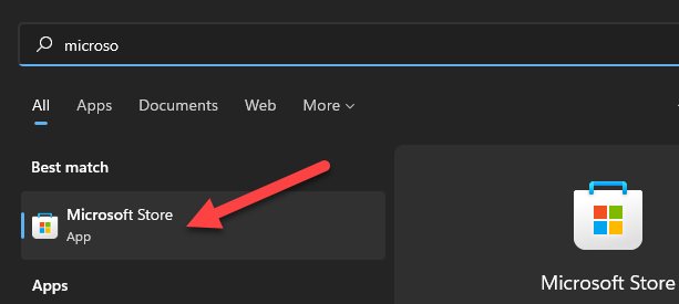 Open the Microsoft Store.