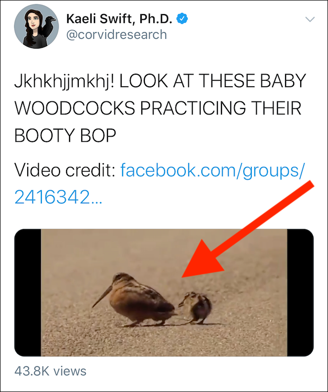 Нажмите и удерживайте видео в твите