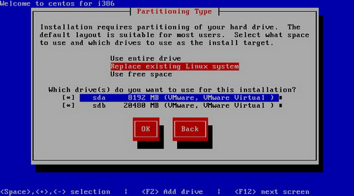 Окно выбора схемы разделов с опцией Replace existing Linux system