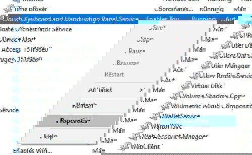Окно свойств службы с вкладкой параметры
