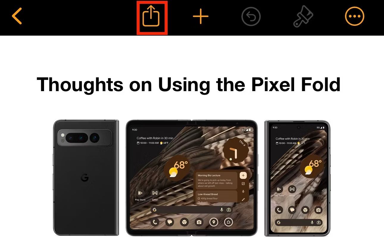 Кнопка Поделиться в Pages на iPhone.