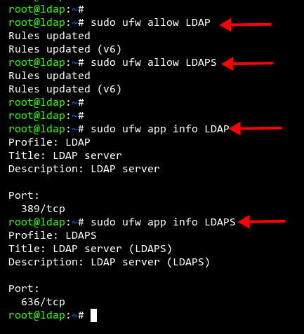 Скриншот правил UFW с LDAP и LDAPS