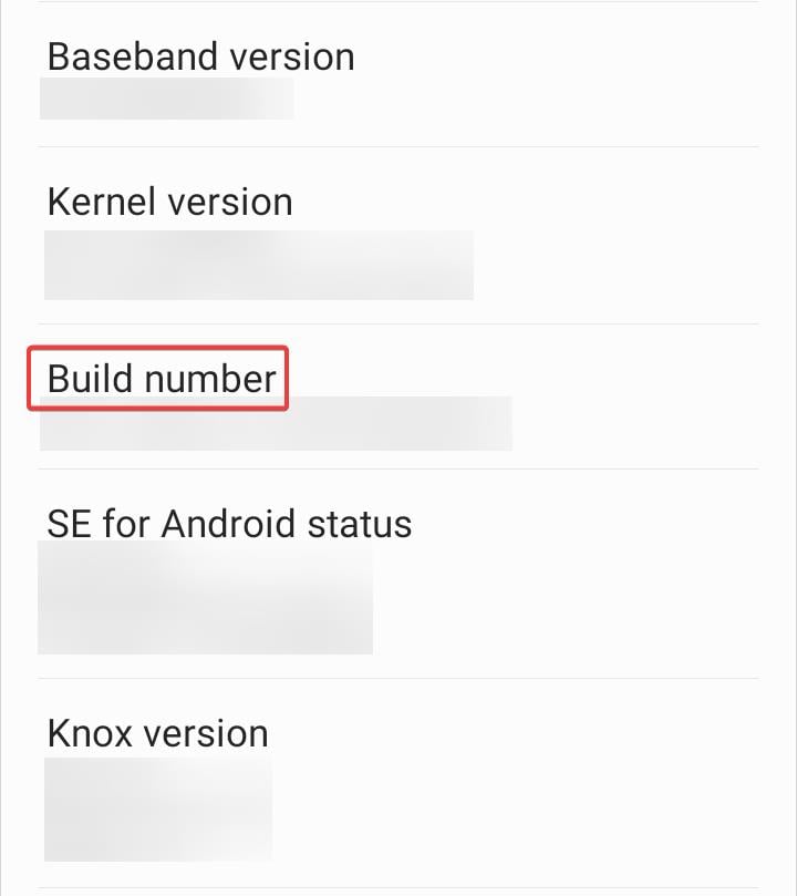 Семикратное нажатие на «Номер сборки» для включения режима разработчика