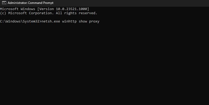 Командная строка с командой для проверки прокси