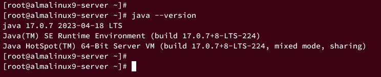 Проверка Oracle JDK 17 — java --version