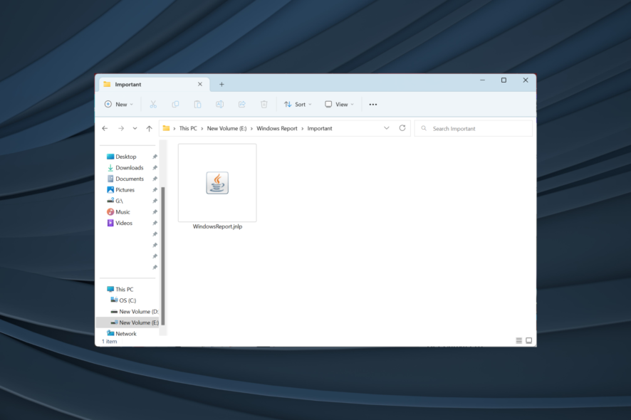Как открыть JNLP-файл в Windows