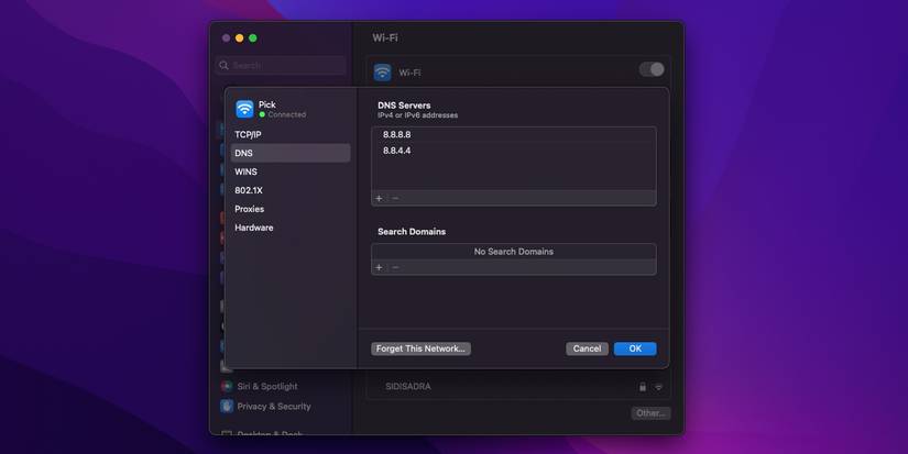 изменение DNS-серверов в macOS на экране настроек