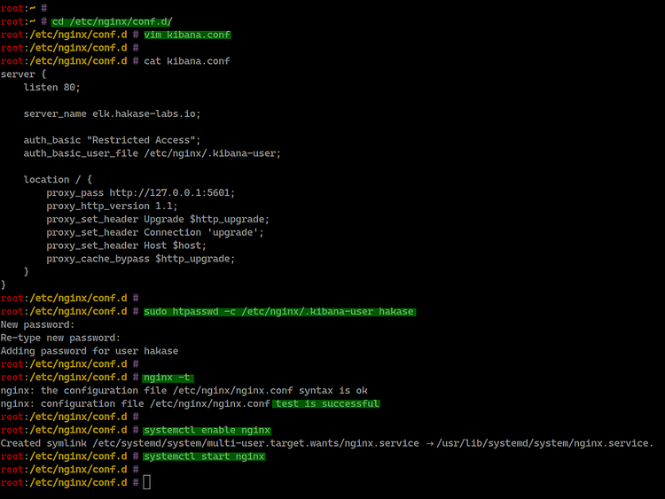 Configuración de Nginx como proxy inverso