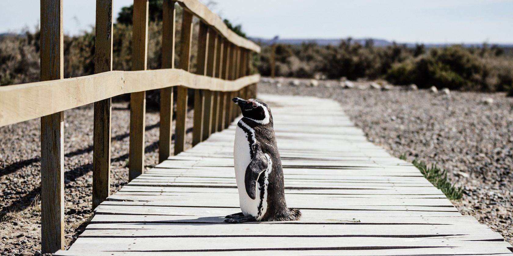 ImageMagick: команда convert в Linux