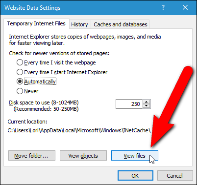 Просмотр файлов временного кэша в Internet Explorer