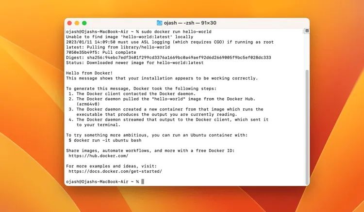 Сообщение от контейнера hello-world