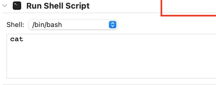 Установка shell в bash в Automator.