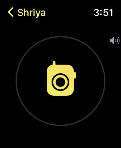 Нажмите и говорите: кнопка «Touch & Hold to Talk» на Apple Watch