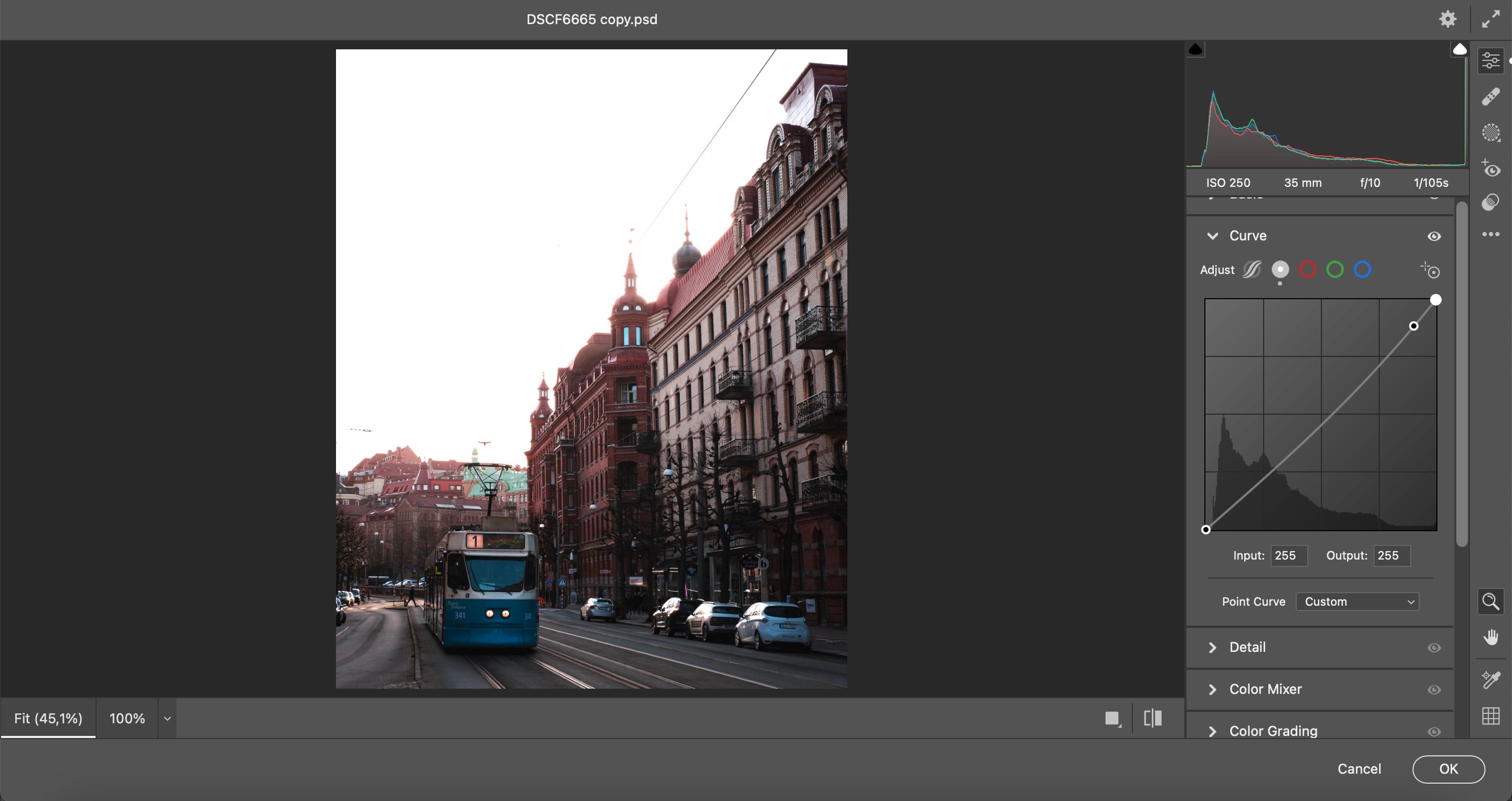 Инструменты тоновой кривой и локальных масок в Camera Raw