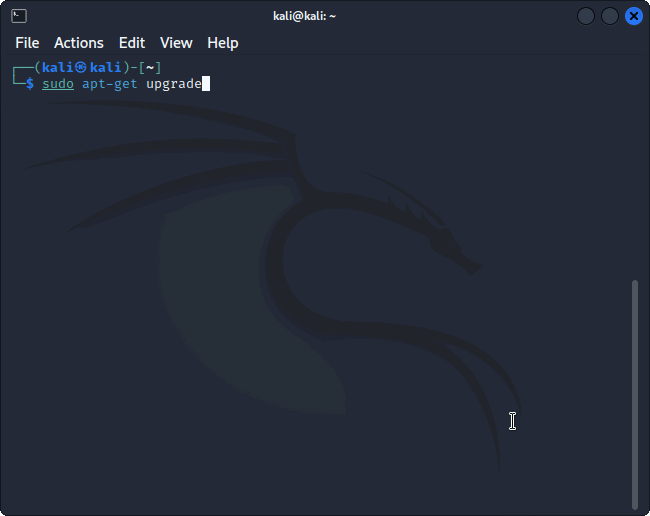 Процесс обновления пакетов в Kali Linux