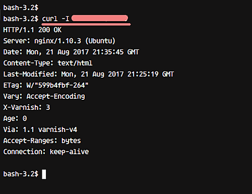 Проверка соединения с помощью curl — заголовки, включающие Via: varnish